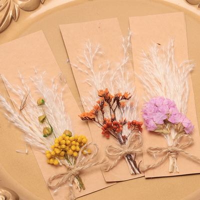Opp Bag Pampas Natural Dried Grass Potpourri 43 * 15cm