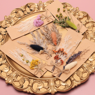 Opp Bag Pampas Natural Dried Grass Potpourri 43 * 15cm