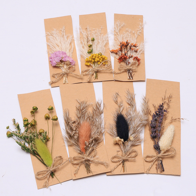 Opp Bag Pampas Natural Dried Grass Potpourri 43 * 15cm